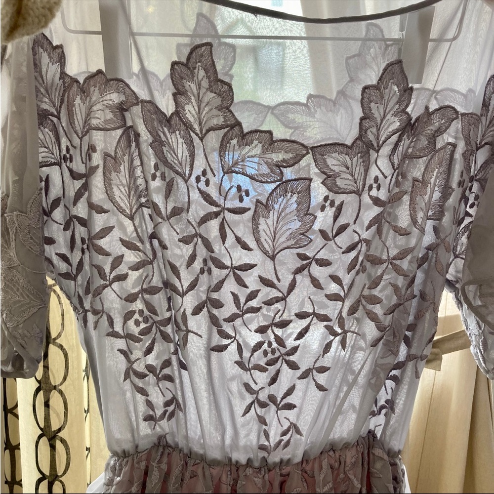 The clothes horse vintage embroidered dress